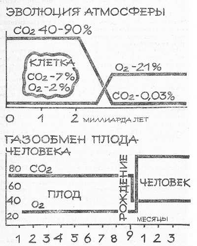 Эволюция атмосферы